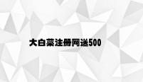 大白菜注册网送500 v3.36.9.49官方正式版